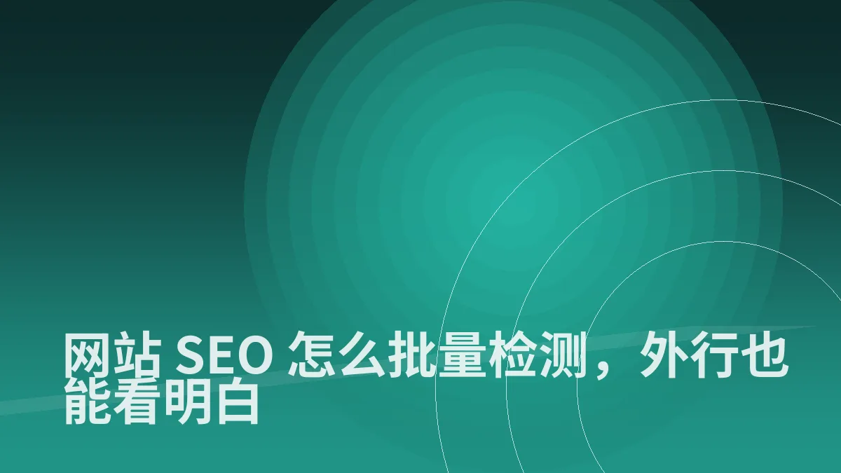 网站 SEO 怎么批量检测,外行也能看明白