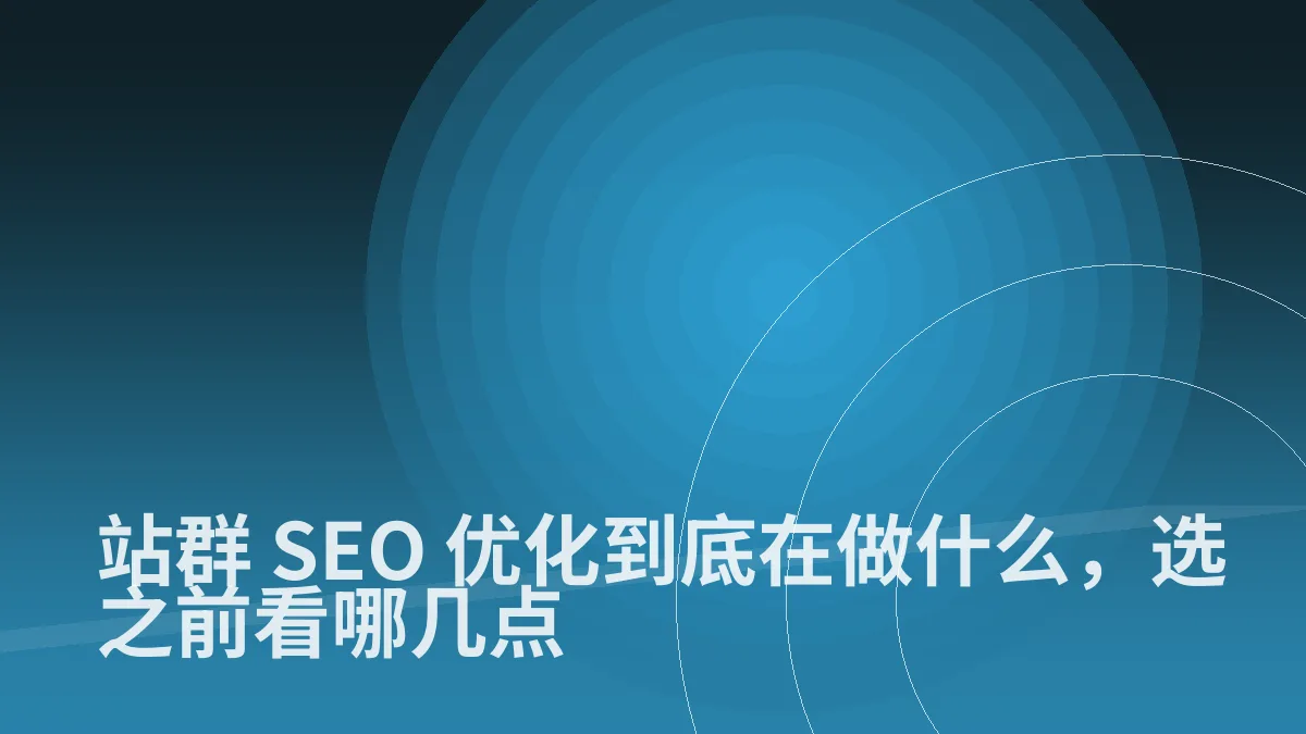 站群 SEO 优化到底在做什么,选之前看哪几点
