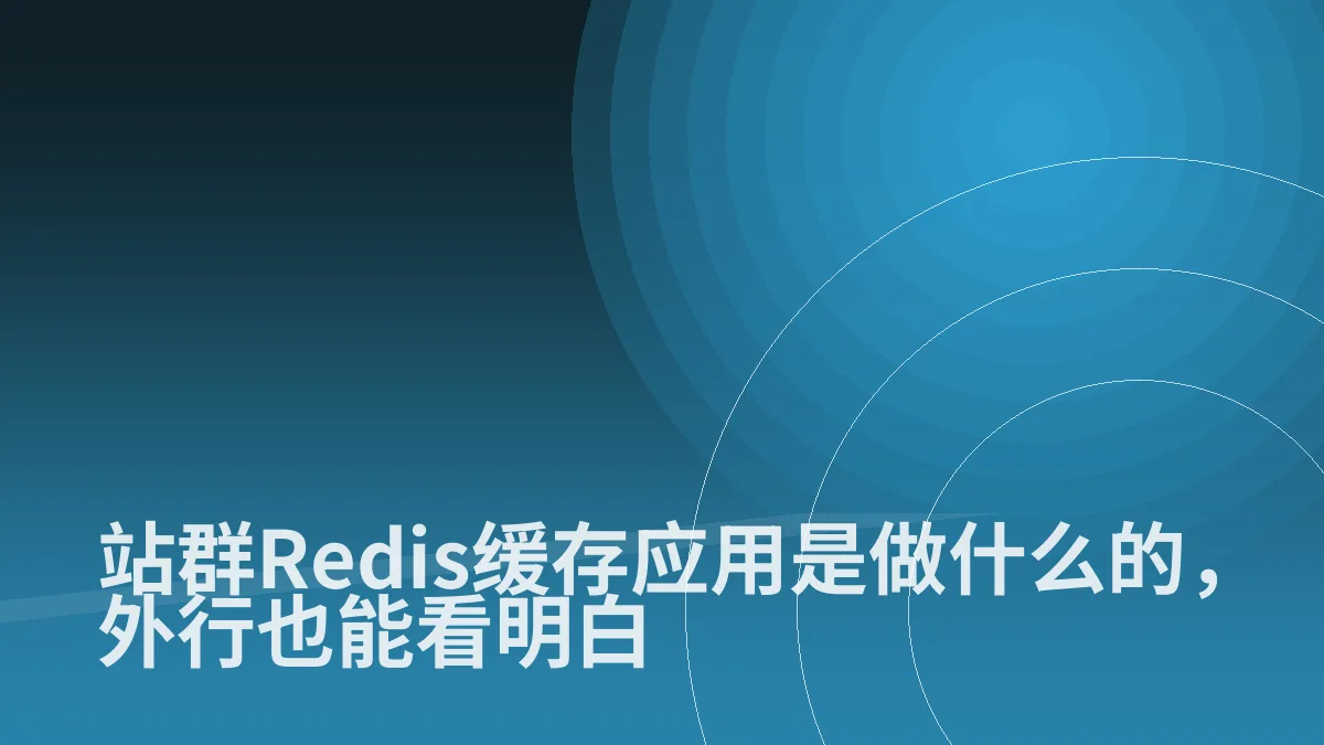站群Redis缓存应用是做什么的,外行也能看明白