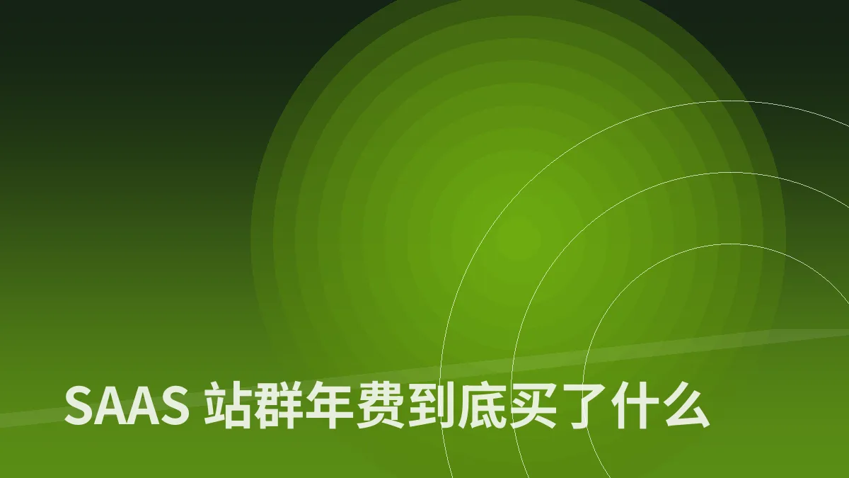 SAAS 站群年费到底买了什么