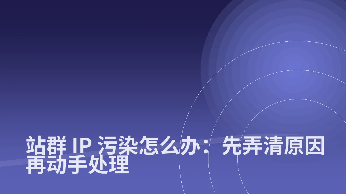 站群 IP 污染怎么办:先弄清原因再动手处理