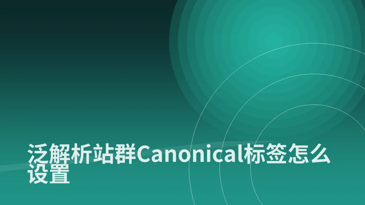泛解析站群Canonical标签怎么设置