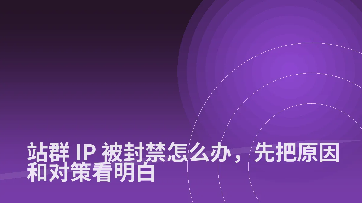 站群 IP 被封禁怎么办,先把原因和对策看明白