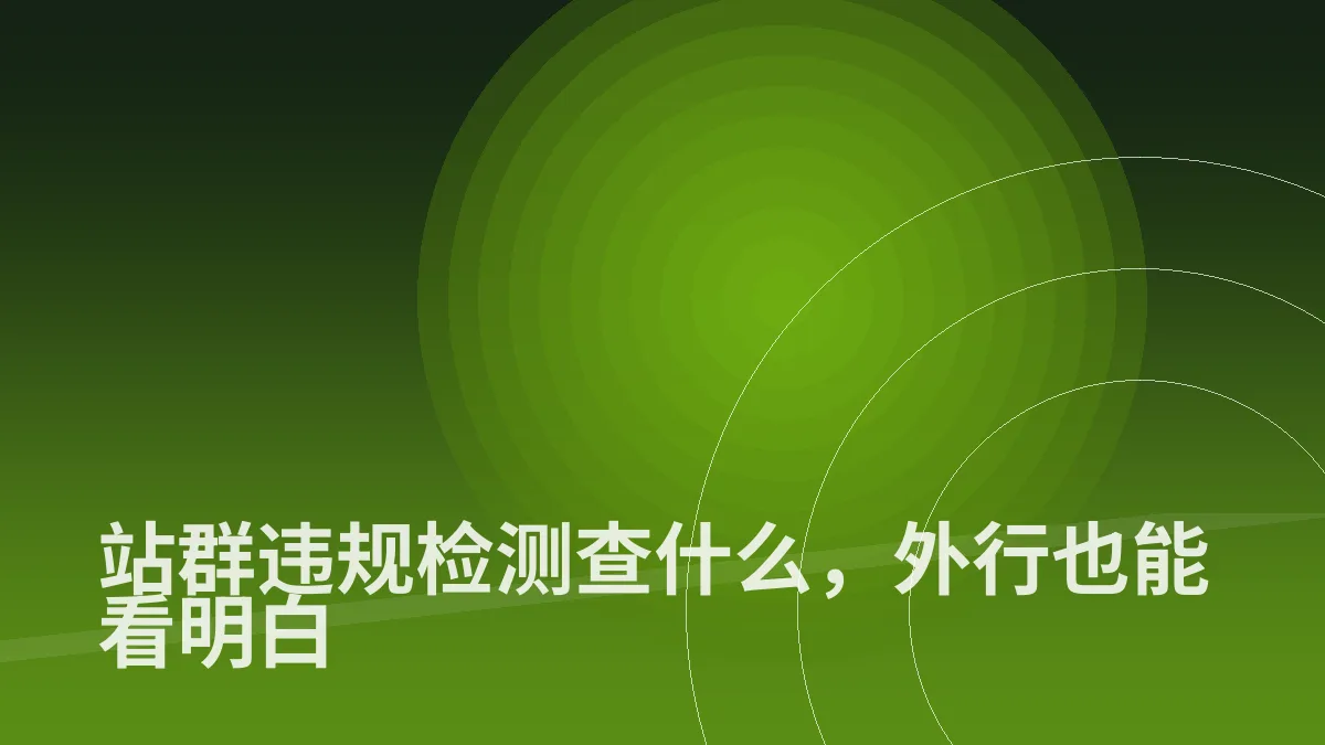 站群违规检测查什么,外行也能看明白
