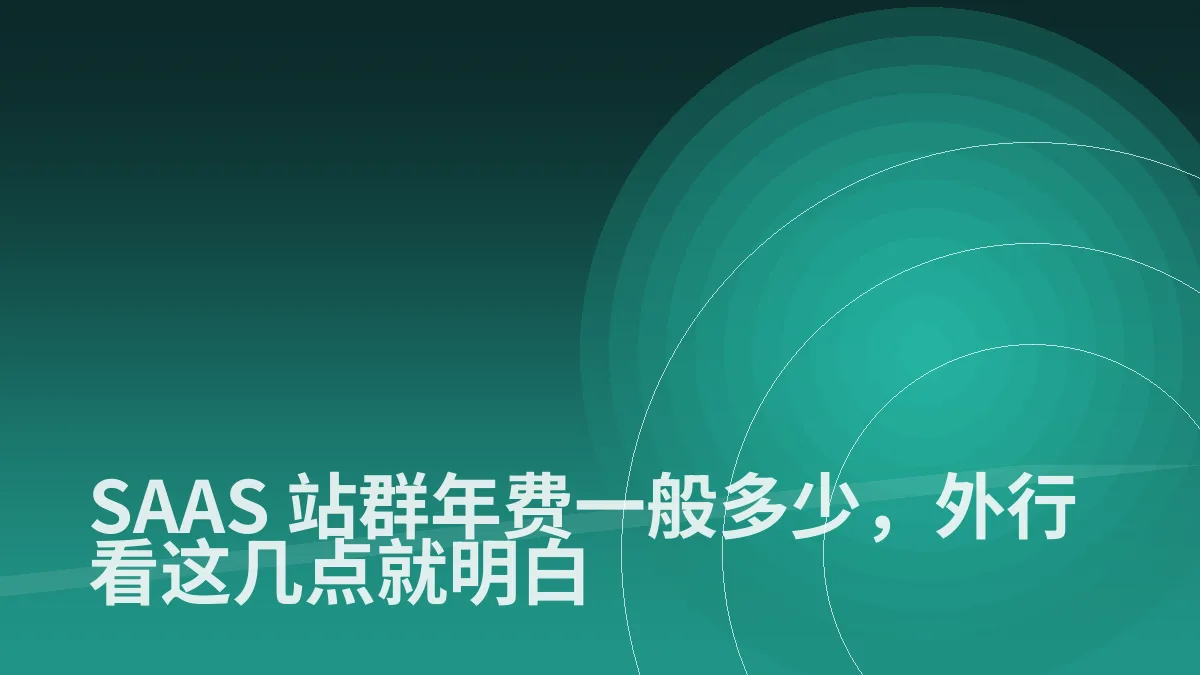 SAAS 站群年费一般多少,外行看这几点就明白