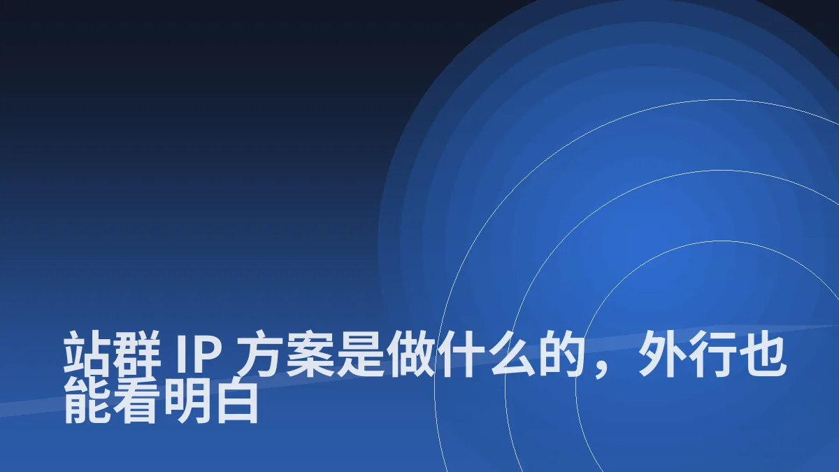 站群 IP 方案是做什么的,外行也能看明白
