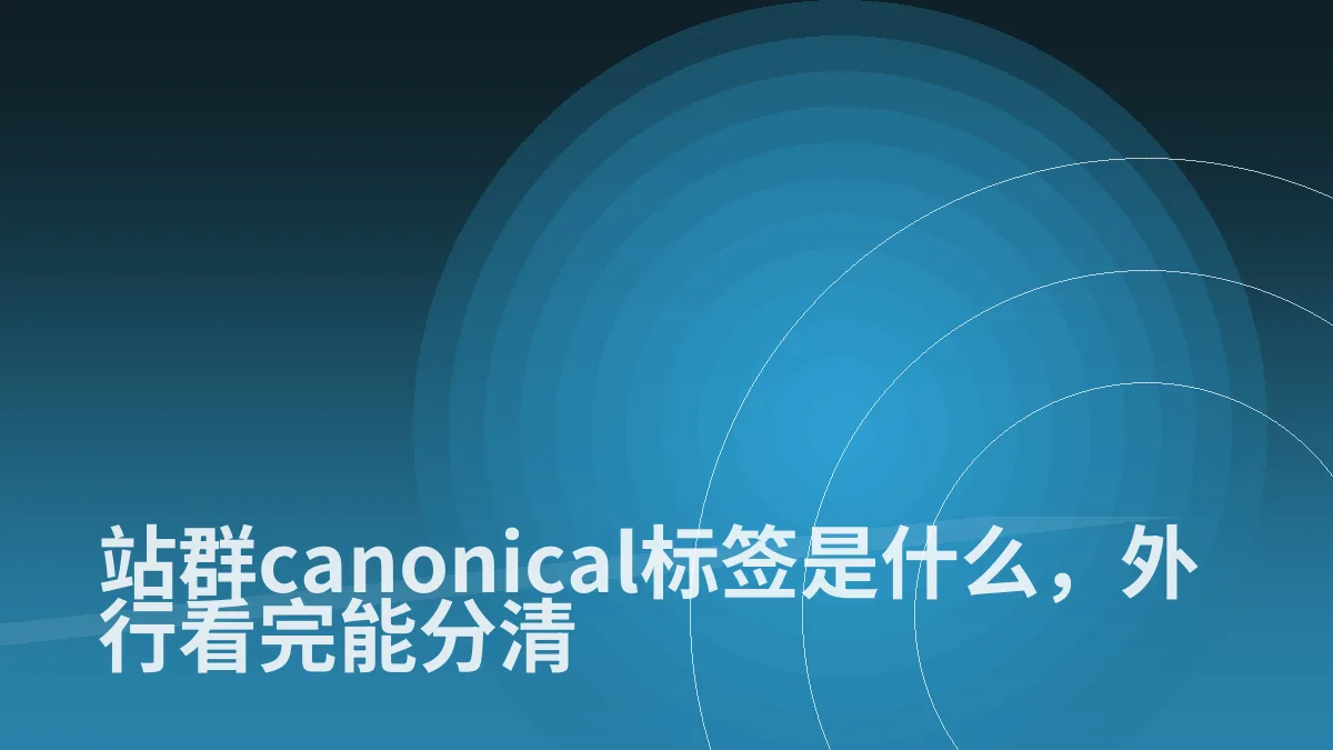 站群canonical标签是什么，外行看完能分清