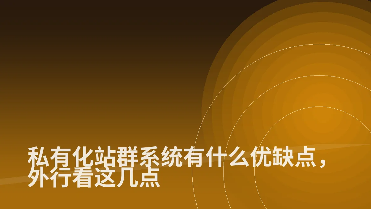 私有化站群系统有什么优缺点,外行看这几点