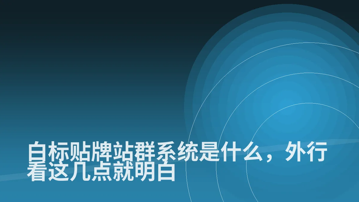白标贴牌站群系统是什么，外行看这几点就明白