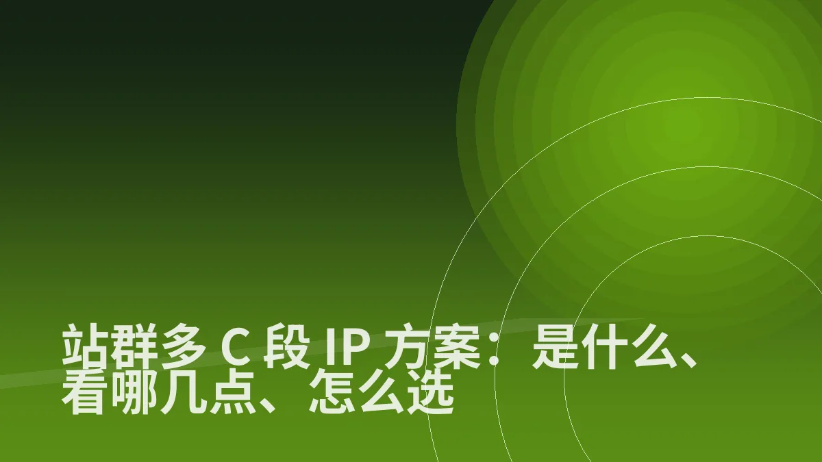 站群多 C 段 IP 方案:是什么、看哪几点、怎么选