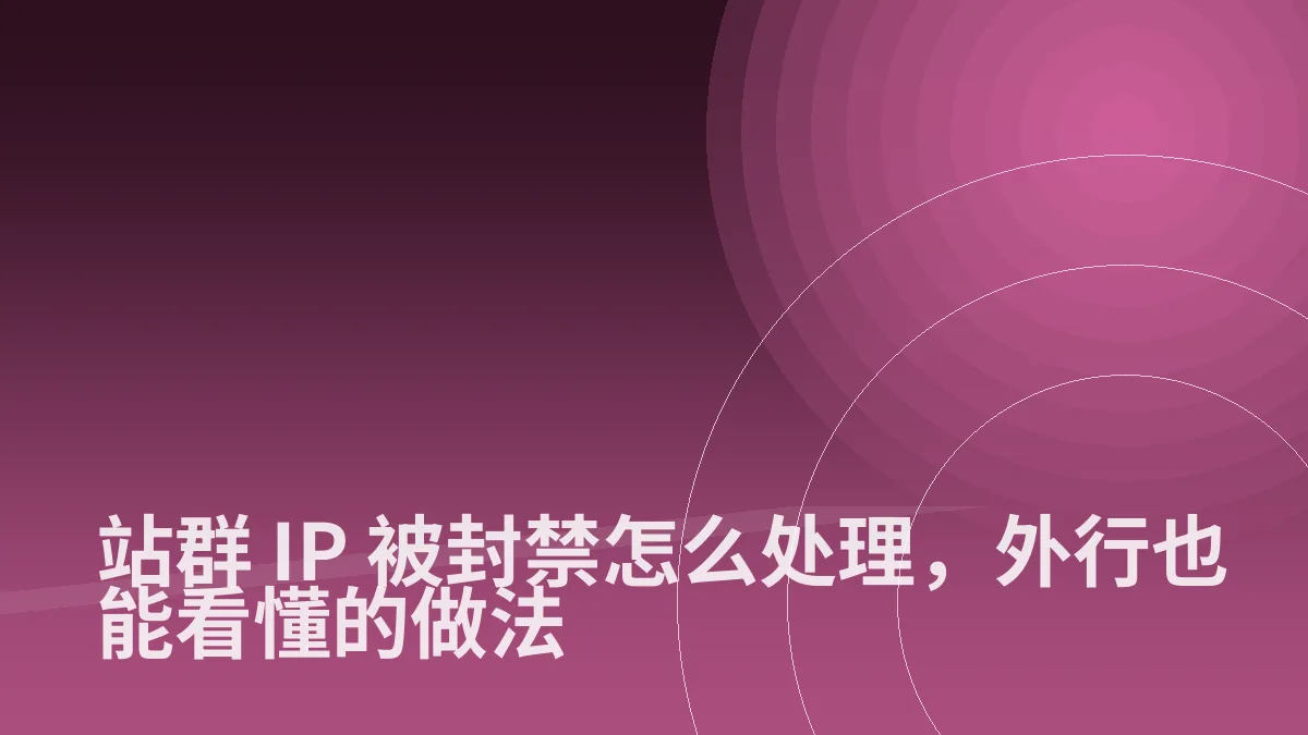 站群 IP 被封禁怎么处理,外行也能看懂的做法
